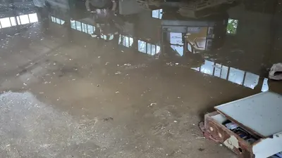 공장지붕보수 누수 - 실내로 유입된 빗물이 고인 창고 바닥